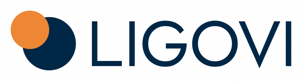 Ligovi Logo – Unternehmensberatung für nachhaltiges Wachstum von KMU und Start-ups